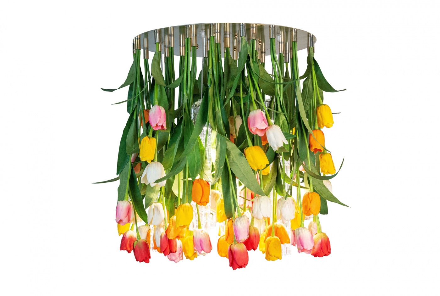 1624622538-8880331.84_TULIP MAXI_2326_r